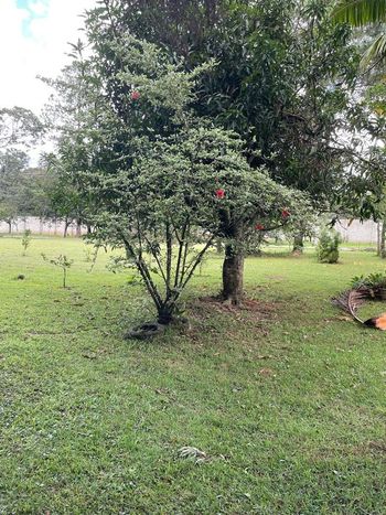 Foto 4 do(a) Terreno de 1 quartos à venda em Vila Martins, Itu