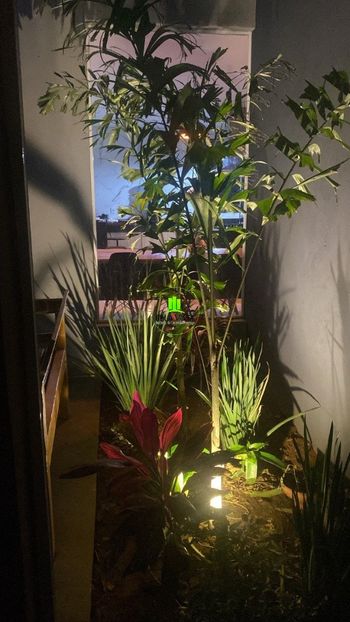 Foto 20 do(a) Casa em Condomínio de 4 quartos à venda em Residencial Real Mont Ville, Lagoa Santa