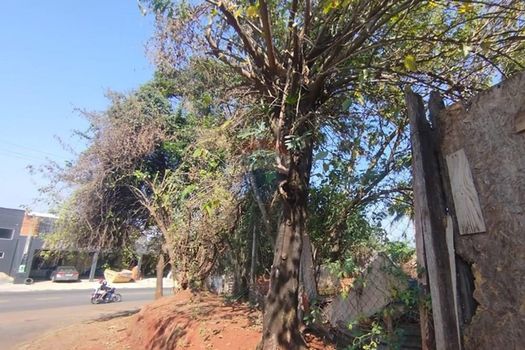 Foto 13 do(a) Terreno false à venda em Jardim Alvorada, Mogi Guaçu