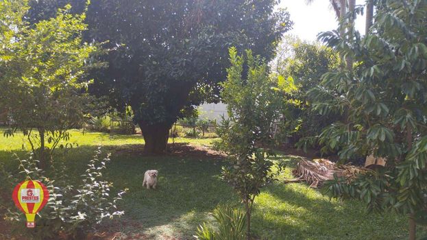 Foto 34 do(a) Fazenda / Sítio / Chácara de 3 quartos para alugar em Vila Angélica, Sorocaba