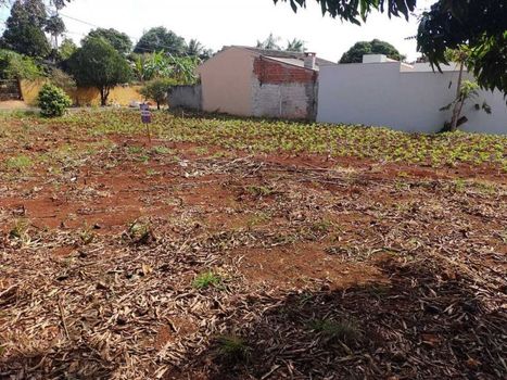 Foto 5 do(a) Terreno false à venda em null, Jandaia do Sul