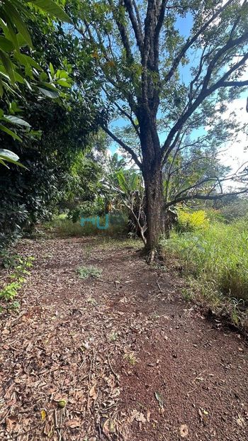 Foto 2 do(a) Terreno false à venda em Recanto Santa Andréa, Cambé