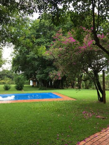 Foto 1 do(a) Fazenda / Sítio / Chácara de 3 quartos à venda em Recanto dos Pinheiros, Cambé