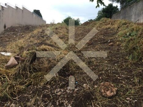 Foto 5 do(a) Terreno false à venda em Parque Santa Mônica, São Carlos