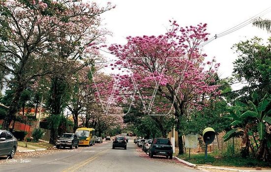 Foto 47 do(a) Casa em Condomínio de 5 quartos à venda em Loteamento Caminhos de São Conrado (Sousas), Campinas
