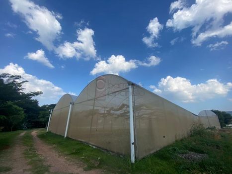 Foto 48 do(a) Casa em Condomínio de 4 quartos à venda em Jardim Ermida I, Jundiaí