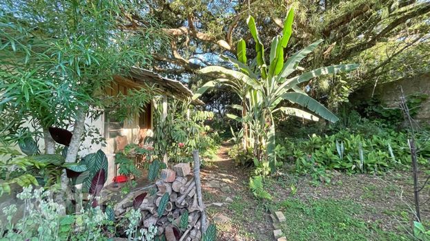 Foto 45 do(a) Casa de 3 quartos à venda em Belém Velho, Porto Alegre