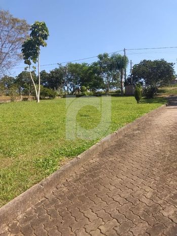 Foto 13 do(a) Fazenda / Sítio / Chácara de 2 quartos à venda em Lomba Grande, Novo Hamburgo