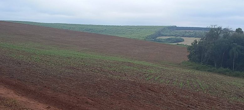 Foto 1 do(a) Fazenda / Sítio / Chácara false à venda em Centro, Itapeva