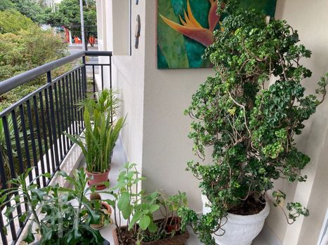 Foto 5 do(a) Apartamento de 3 quartos à venda em Campo Belo, São Paulo