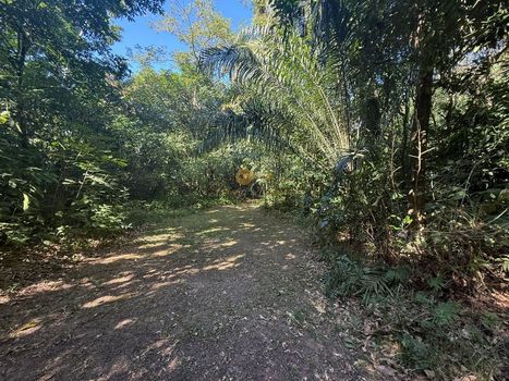 Foto 15 do(a) Fazenda / Sítio / Chácara false à venda em Parque Nossa Senhora da Ajuda, Guapimirim