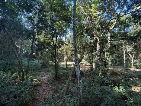 Foto 11 do(a) Fazenda / Sítio / Chácara false à venda em Parque Nossa Senhora da Ajuda, Guapimirim