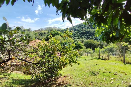 Foto 39 do(a) Fazenda / Sítio / Chácara de 6 quartos à venda em Ponte Nova, Itapira