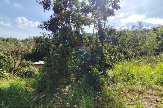 Foto 21 do(a) Fazenda / Sítio / Chácara de 6 quartos à venda em Ponte Nova, Itapira
