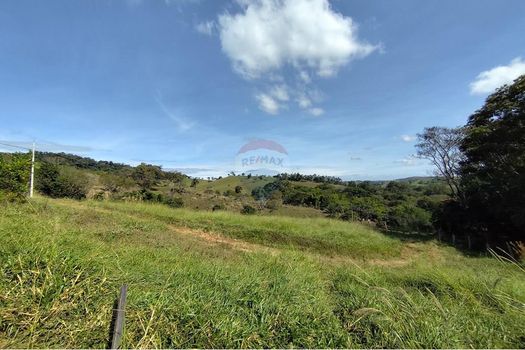 Foto 40 do(a) Fazenda / Sítio / Chácara de 6 quartos à venda em Ponte Nova, Itapira