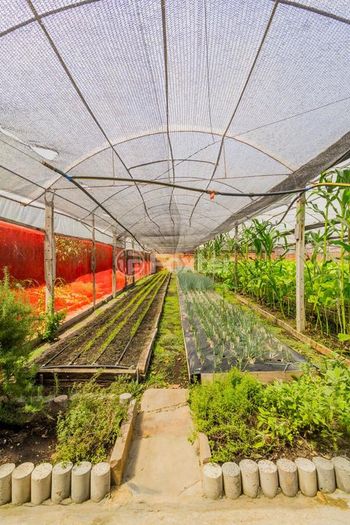 Foto 11 do(a) Fazenda / Sítio / Chácara de 2 quartos à venda em Campo Novo, Porto Alegre