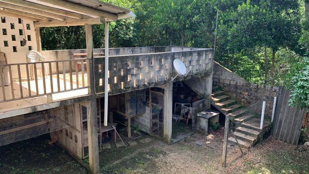 Foto 10 do(a) Fazenda / Sítio / Chácara de 4 quartos à venda em Ratones, Florianópolis