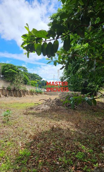 Foto 4 do(a) Terreno false à venda em Cidade Industrial, Contagem