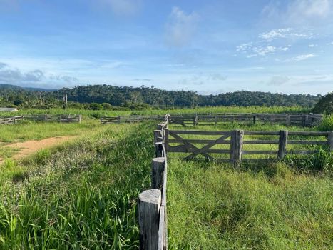Foto 6 do(a) Fazenda / Sítio / Chácara de 4 quartos à venda em null, Paranaíta