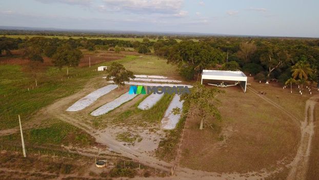 Foto 10 do(a) Fazenda / Sítio / Chácara de 1 quartos à venda em Aparecida, Pirapora