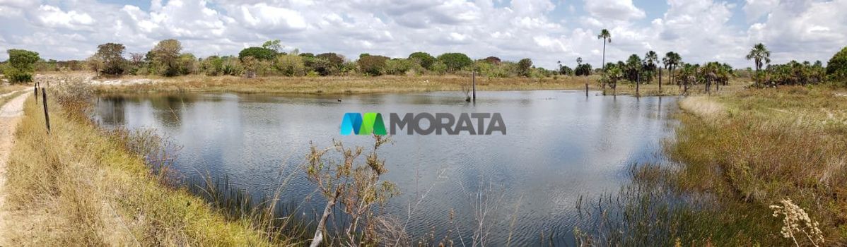 Foto 23 do(a) Fazenda / Sítio / Chácara de 1 quartos à venda em Aparecida, Pirapora