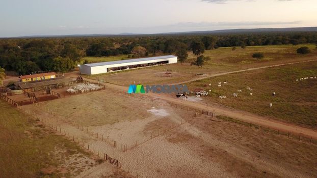 Foto 3 do(a) Fazenda / Sítio / Chácara de 1 quartos à venda em Aparecida, Pirapora
