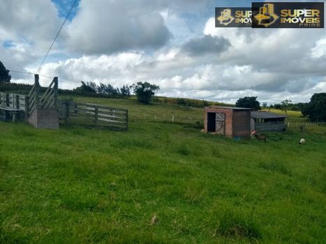 Foto 9 do(a) Edifício Inteiro de 8 quartos à venda em null, Canguçu