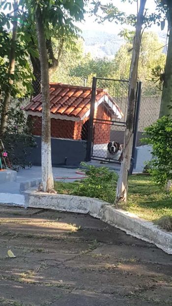Foto 46 do(a) Fazenda / Sítio / Chácara de 3 quartos à venda em null, Bom Jesus dos Perdões