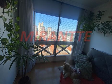 Foto 3 do(a) Apartamento de 3 quartos à venda em Vila Nova Cachoeirinha, São Paulo