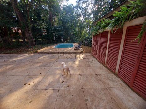 Foto 17 do(a) Casa em Condomínio false à venda em Parque São Quirino, Campinas
