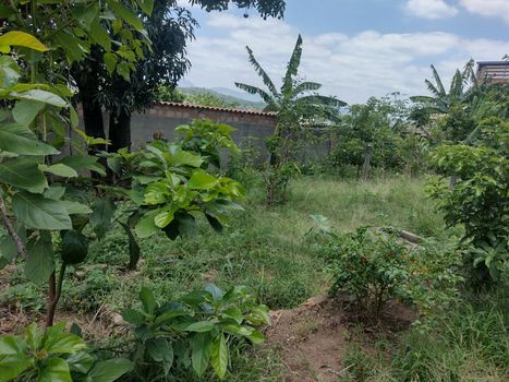 Foto 6 do(a) Terreno false à venda em São João, Betim