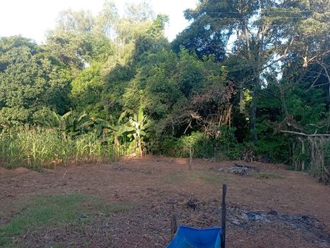Foto 43 do(a) Fazenda / Sítio / Chácara de 4 quartos à venda em null, Bady Bassitt