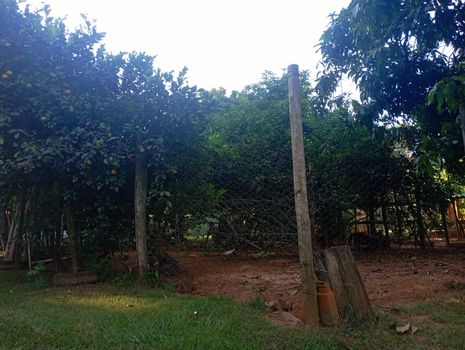 Foto 35 do(a) Fazenda / Sítio / Chácara de 4 quartos à venda em null, Bady Bassitt