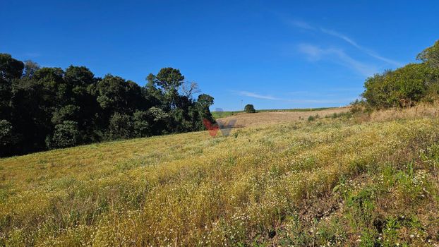 Foto 5 do(a) Fazenda / Sítio / Chácara de 1 quartos à venda em null, Campo Magro