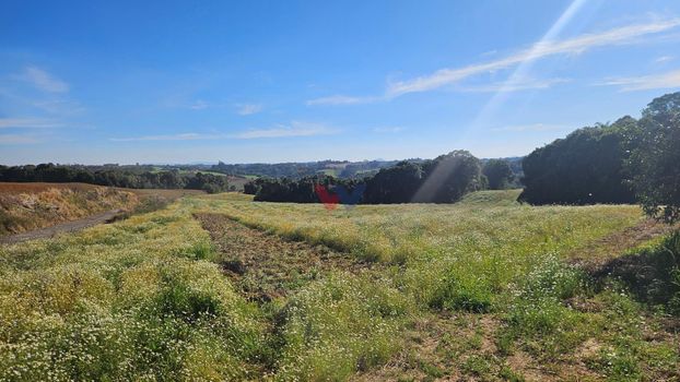 Foto 3 do(a) Fazenda / Sítio / Chácara de 1 quartos à venda em null, Campo Magro