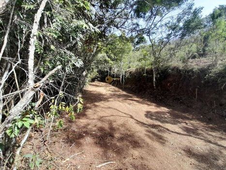 Foto 6 do(a) Terreno false à venda em Cruzeiro, Teresópolis