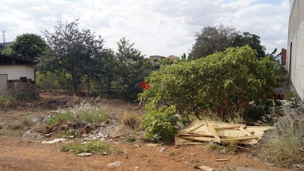 Foto 11 do(a) Terreno false à venda em Alto do Ipiranga, Ribeirão Preto