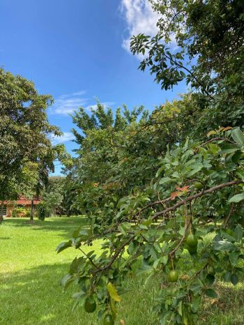 Foto 10 do(a) Fazenda / Sítio / Chácara de 3 quartos à venda em Sítio Recreio São Judas Thadeu, Lençóis Paulista