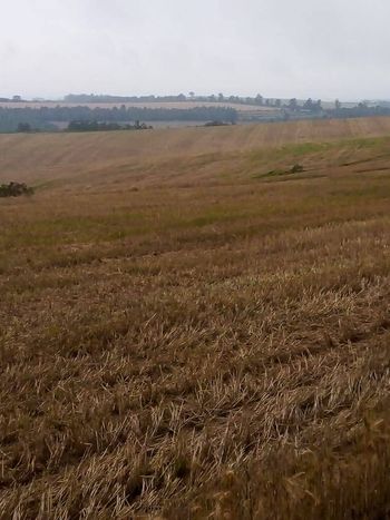 Foto 7 do(a) Fazenda / Sítio / Chácara false à venda em Área Rural de Itapeva, Itapeva