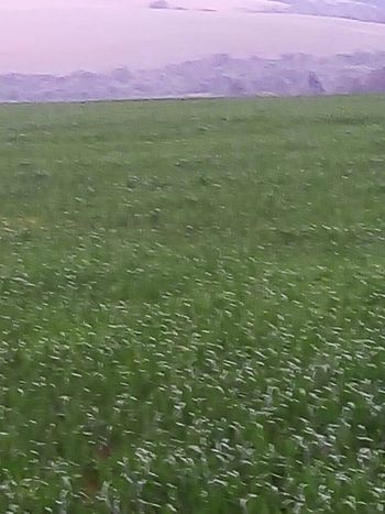 Foto 11 do(a) Fazenda / Sítio / Chácara false à venda em Área Rural de Itapeva, Itapeva