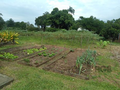 Foto 23 do(a) Fazenda / Sítio / Chácara de 4 quartos à venda em Sítio Ipiranga, Cachoeirinha