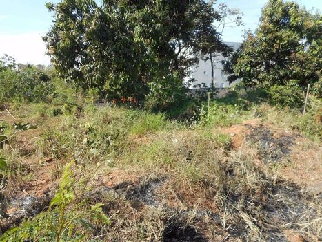 Foto 13 do(a) Terreno false à venda em Chácaras Patrimônio Santana, Araçatuba