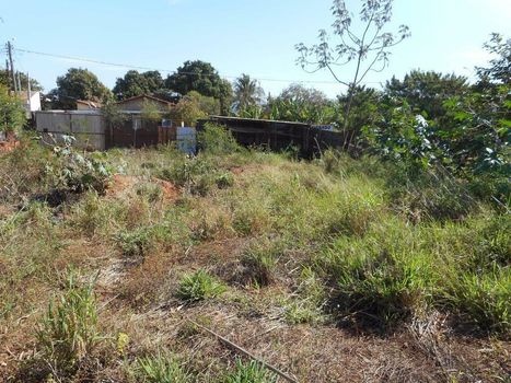 Foto 14 do(a) Terreno false à venda em Chácaras Patrimônio Santana, Araçatuba
