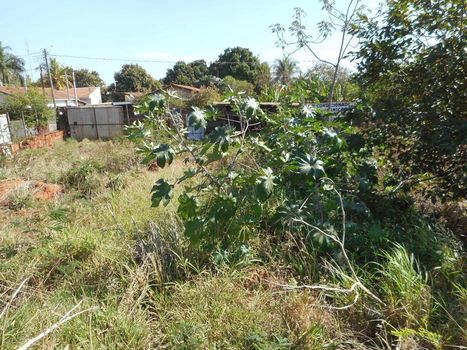Foto 15 do(a) Terreno false à venda em Chácaras Patrimônio Santana, Araçatuba