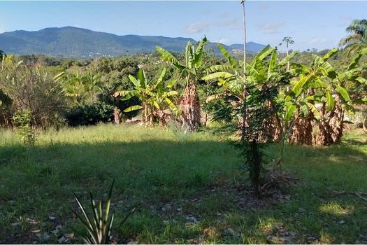 Foto 4 do(a) Terreno false à venda em Guaratiba, Rio de Janeiro