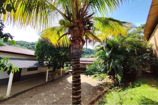 Foto 4 do(a) Fazenda / Sítio / Chácara de 6 quartos à venda em Ponte Nova, Itapira