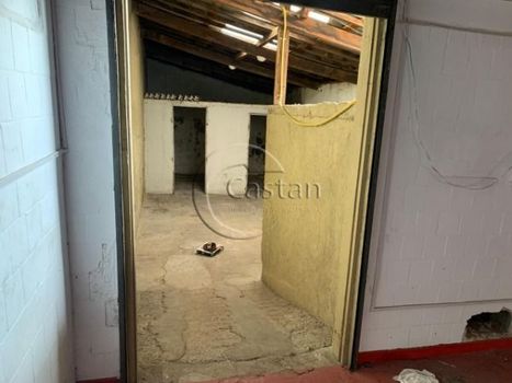 Foto 6 do(a) Edifício Inteiro de 4 quartos à venda em Vila Canero, São Paulo