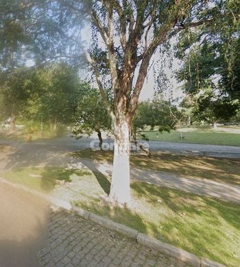 Foto 34 do(a) Apartamento de 3 quartos à venda em Jardim Lindóia, Porto Alegre