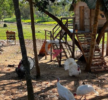 Foto 25 do(a) Casa em Condomínio de 3 quartos à venda em Itapecirica, Taubaté