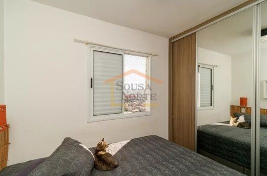 Foto 15 do(a) Apartamento de 3 quartos à venda em Vila Guilherme, São Paulo